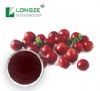 cranberry extract fruit powder