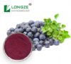 blueberry extract blueberry powder