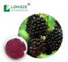 blackberry extract plant extract